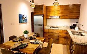 Ancla Baja Living Condominio nuevo con vista 4
